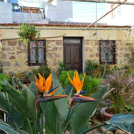 Mystery Garden Guest House Famagusta  Zewnętrze zdjęcie