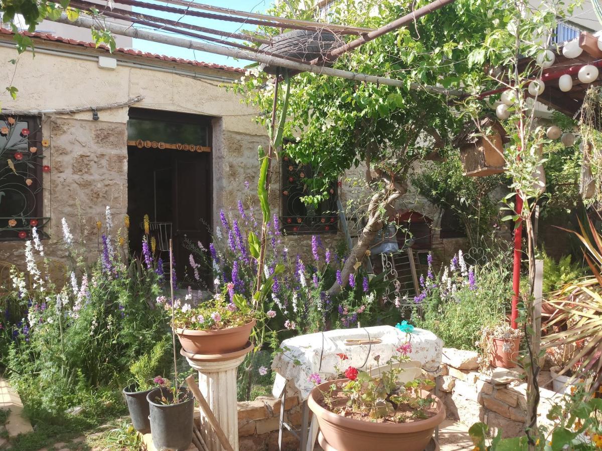 Mystery Garden Guest House Famagusta  Zewnętrze zdjęcie