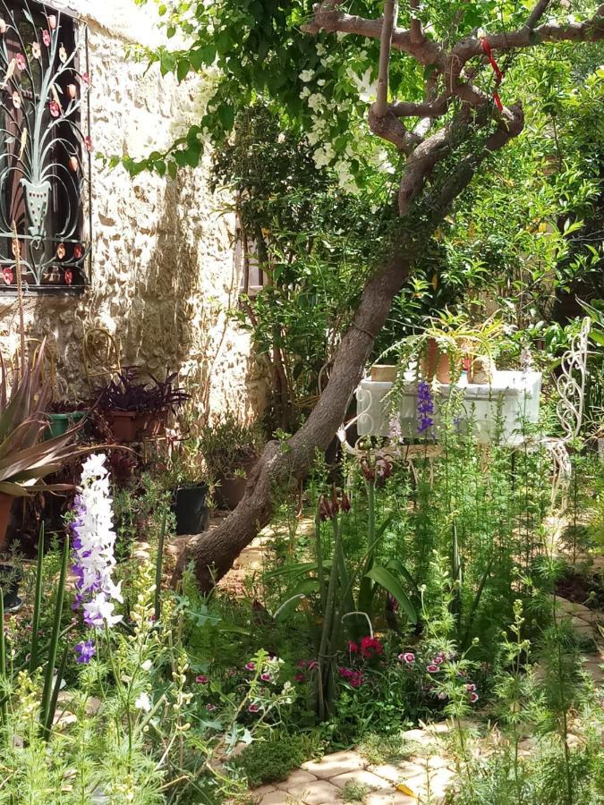Mystery Garden Guest House Famagusta  Zewnętrze zdjęcie