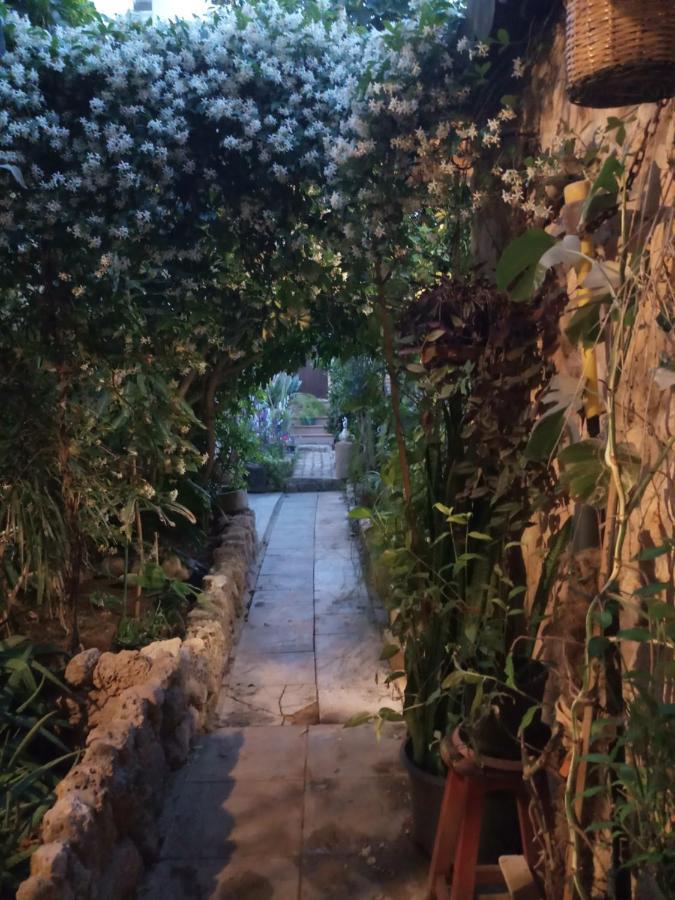 Mystery Garden Guest House Famagusta  Zewnętrze zdjęcie