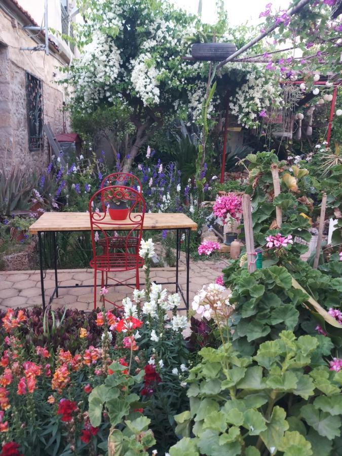 Mystery Garden Guest House Famagusta  Zewnętrze zdjęcie