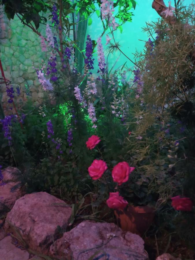 Mystery Garden Guest House Famagusta  Zewnętrze zdjęcie
