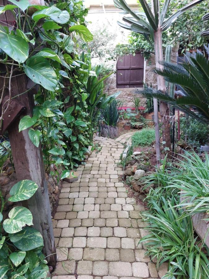 Mystery Garden Guest House Famagusta  Zewnętrze zdjęcie