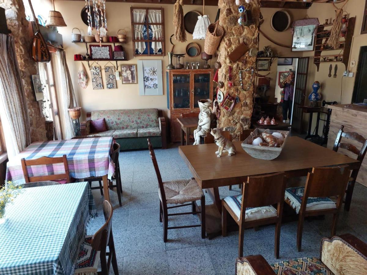 Mystery Garden Guest House Famagusta  Zewnętrze zdjęcie