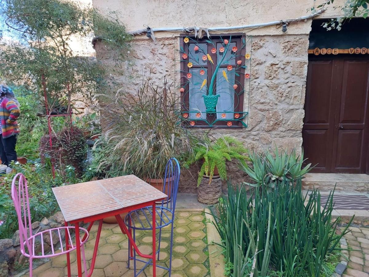 Mystery Garden Guest House Famagusta  Zewnętrze zdjęcie