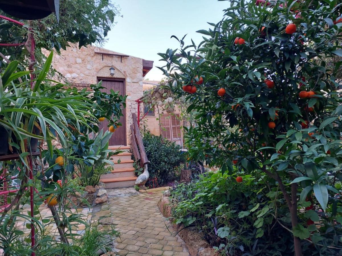 Mystery Garden Guest House Famagusta  Zewnętrze zdjęcie