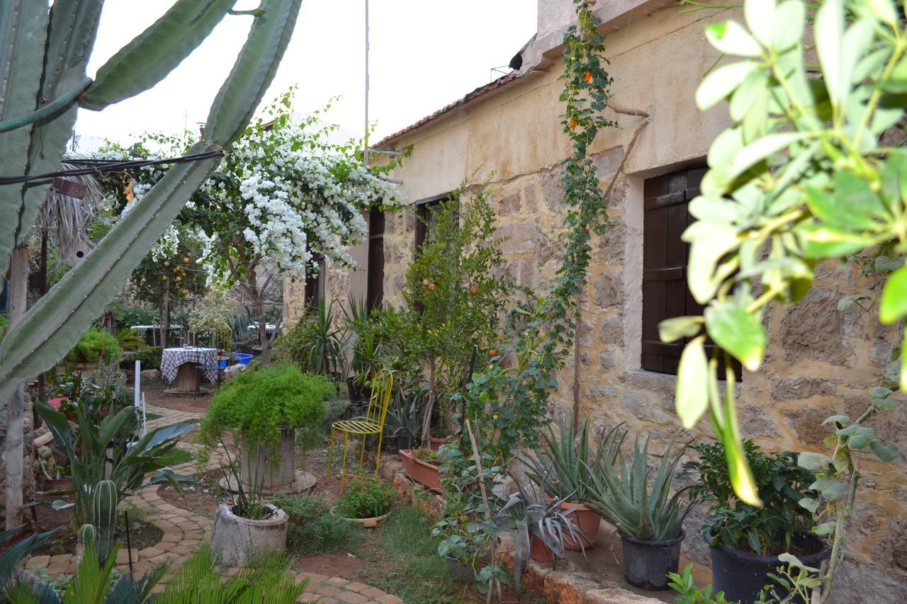 Mystery Garden Guest House Famagusta  Zewnętrze zdjęcie