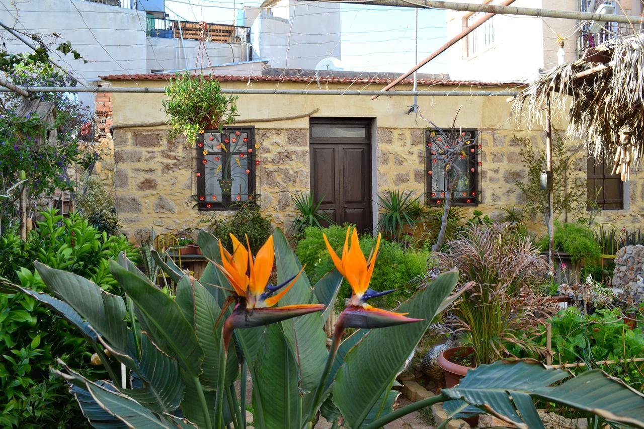 Mystery Garden Guest House Famagusta  Zewnętrze zdjęcie