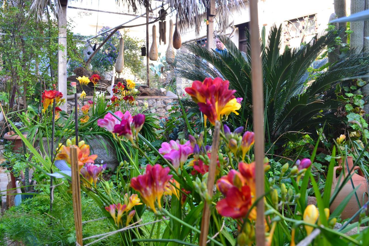 Mystery Garden Guest House Famagusta  Zewnętrze zdjęcie