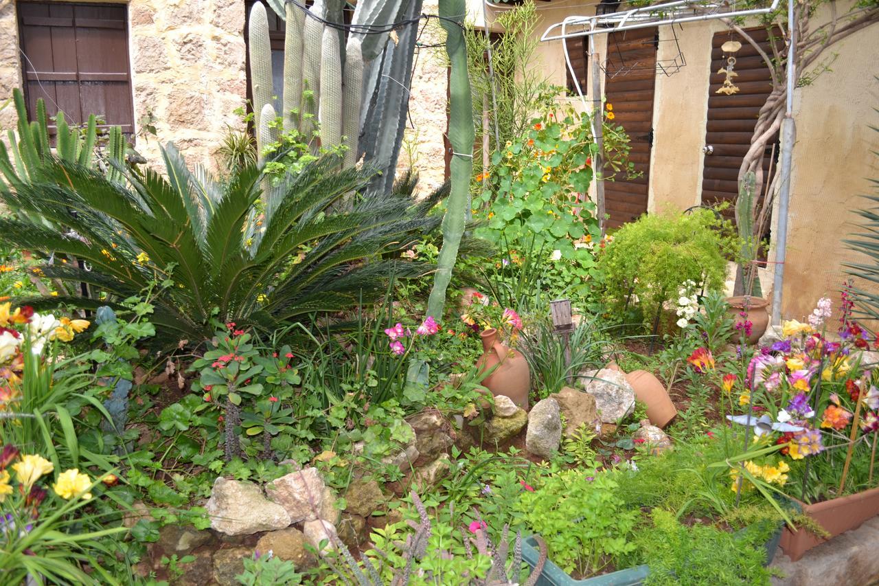 Mystery Garden Guest House Famagusta  Zewnętrze zdjęcie