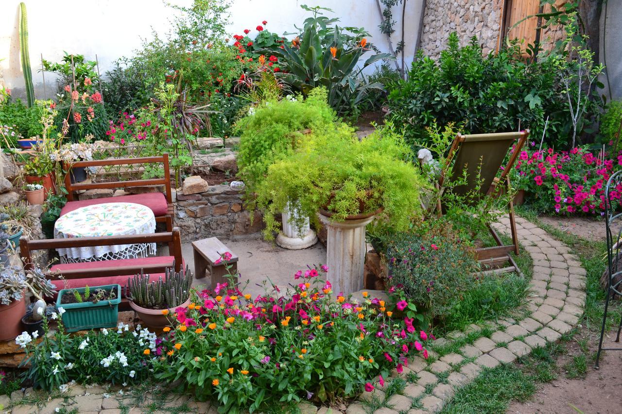 Mystery Garden Guest House Famagusta  Zewnętrze zdjęcie