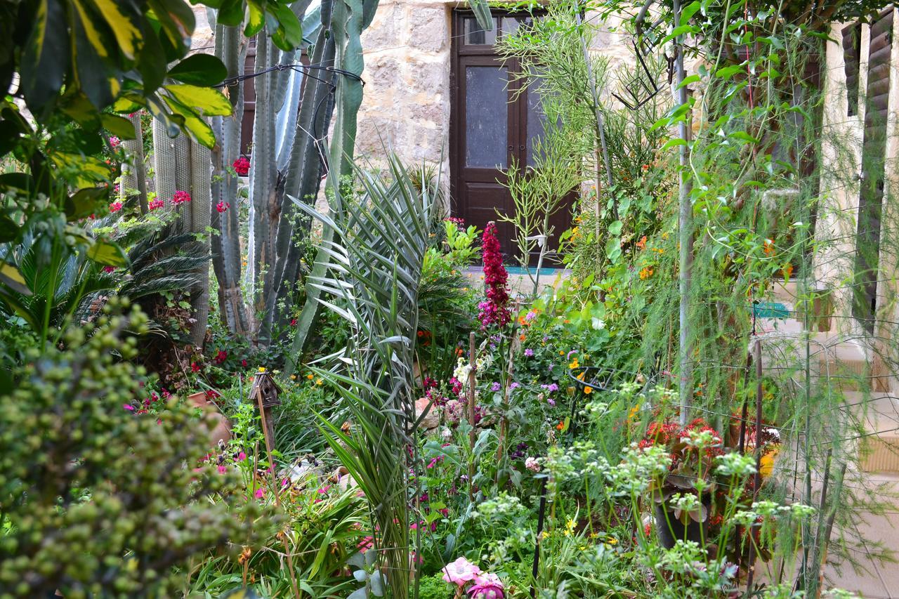 Mystery Garden Guest House Famagusta  Zewnętrze zdjęcie