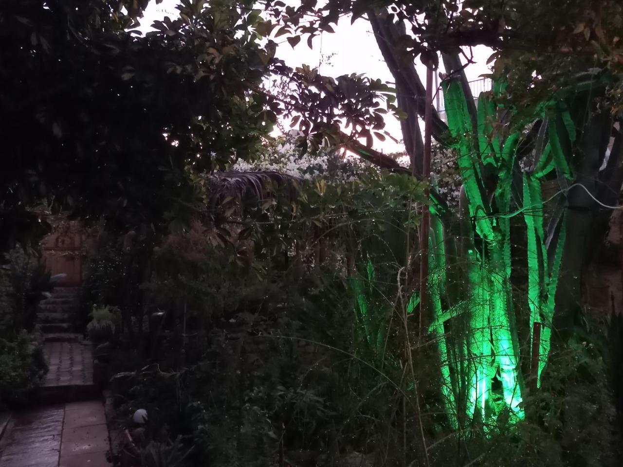 Mystery Garden Guest House Famagusta  Zewnętrze zdjęcie
