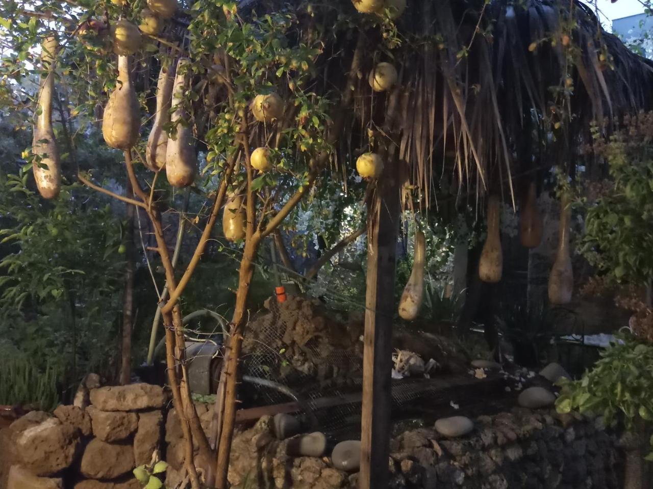 Mystery Garden Guest House Famagusta  Zewnętrze zdjęcie