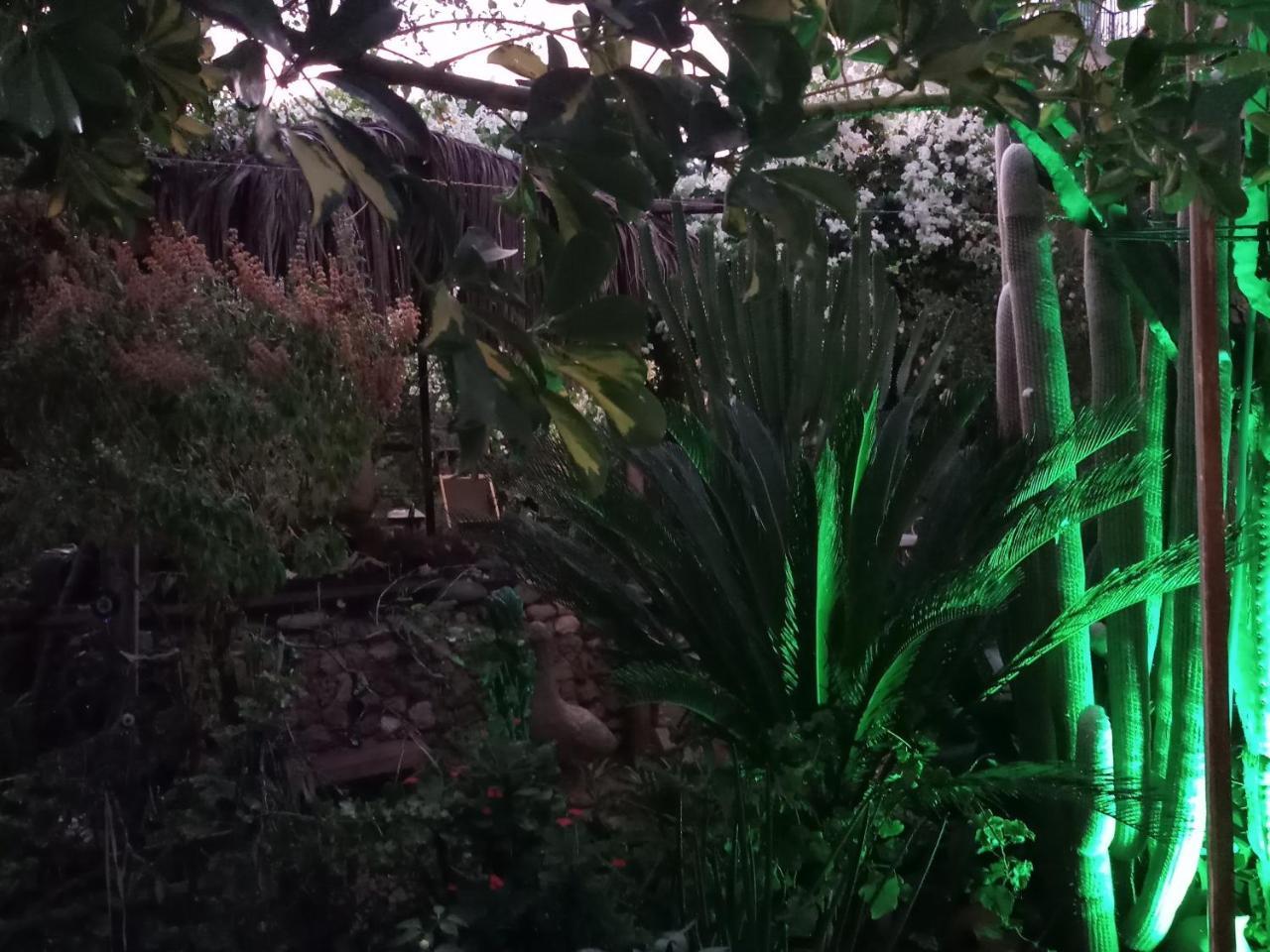 Mystery Garden Guest House Famagusta  Zewnętrze zdjęcie