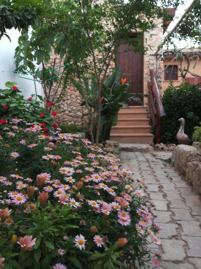 Mystery Garden Guest House Famagusta  Zewnętrze zdjęcie