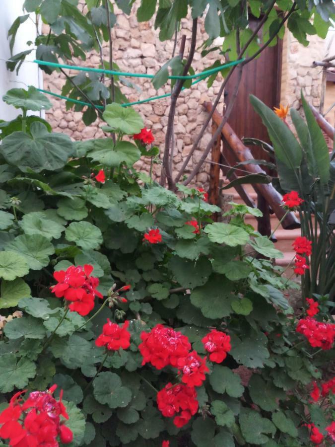 Mystery Garden Guest House Famagusta  Zewnętrze zdjęcie